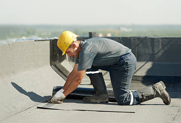 Best Cellulose Insulation in Craig, CO